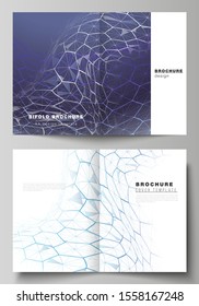 Vector layout of two A4 format modern cover mockups design templates for bifold brochure. Digital technology and big data concept with hexagons, connecting dots and lines, science medical background.
