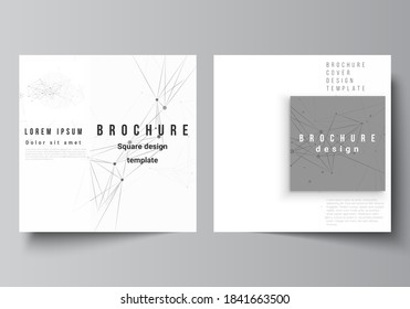 Vector layout of two square covers templates for brochure, flyer, magazine, cover design, book design, brochure cover. Gray technology background with connecting lines and dots. Network concept.