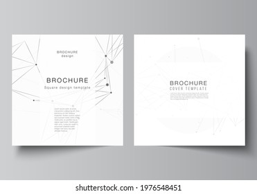 Vector layout of two square covers templates for brochure, flyer, magazine, cover design, book design, brochure cover. Gray technology background with connecting lines and dots. Network concept.