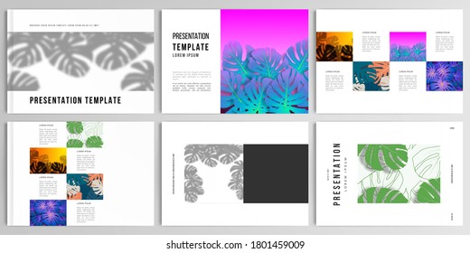 Vector layouts of presentation design templates for brochure, cover design, flyer, book design, magazine, poster. Tropical palm leaves, shadow of tropical jungle leaves. Floral pattern backgrounds.