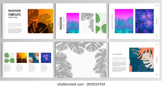 Vector layouts of presentation design templates for brochure, cover design, flyer, book design, magazine, poster. Tropical palm leaves, shadow of tropical jungle leaves. Floral pattern backgrounds.