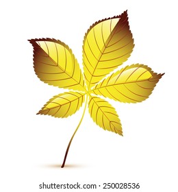 Vector leaf