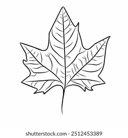 vector leaf autumn black and white