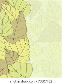 vector leaf background with a place for your text