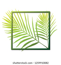 Vector leaf bubbles speech. Illustration.