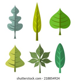 Vector leaf collection