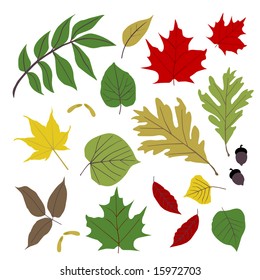 5,694 Cottonwood leaves Images, Stock Photos & Vectors | Shutterstock