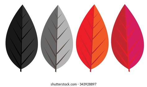 vector leaf color