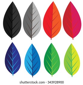 vector leaf color