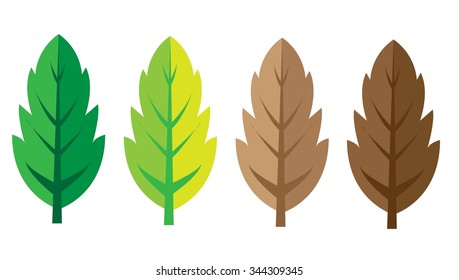 vector leaf color
