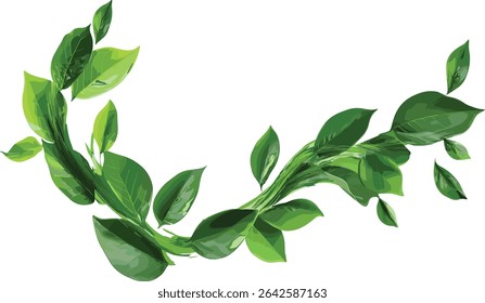 Vector Leaf curl flowing shapes, cut out, movement design, dynamic leaf curl, nature inspired vector elements, creative leaf patterns, flowing leaf shapes for graphics, organic design