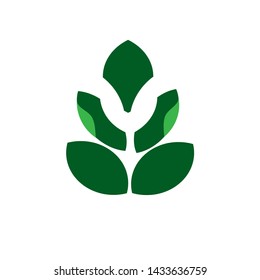 vector leaf design, natural green