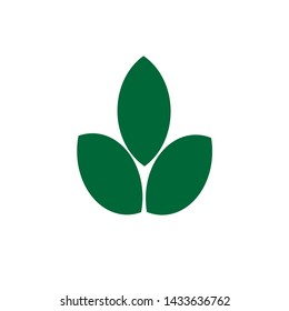 vector leaf design, natural green
