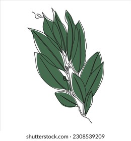 Vector leaf drawing of one continuous line. Color illustration of leaf in the style of one line art