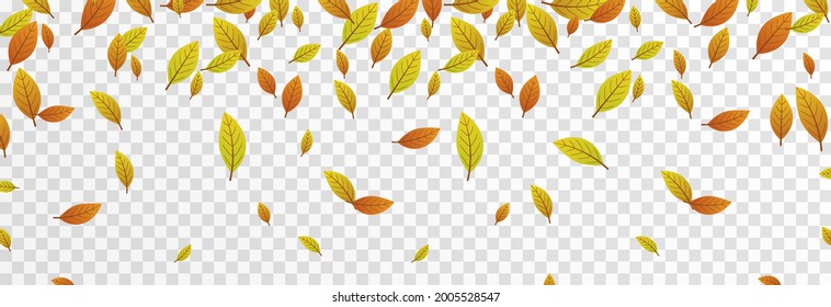 Vector leaf fall on an isolated transparent background. Autumn, the leaves are falling from the trees. Leaves png.