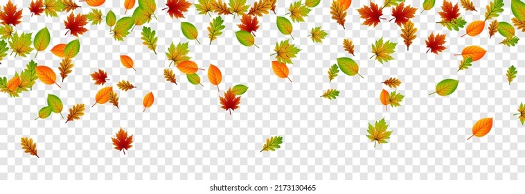 Vector leaf fall on an isolated transparent background. Autumn, the leaves are falling from the trees. Leaves png.