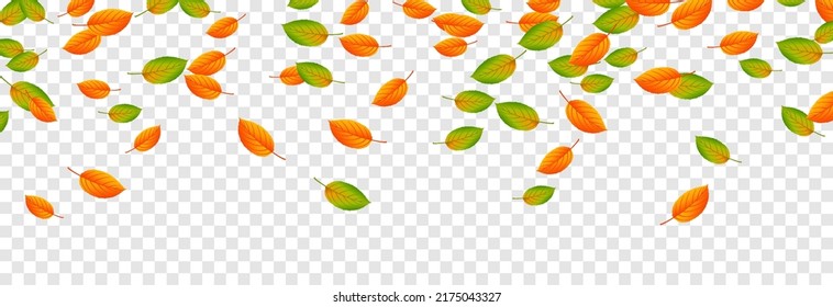 Vector Leaf Fall On An Isolated Transparent Background. Autumn, The Leaves Are Falling From The Trees. Leaves Png.