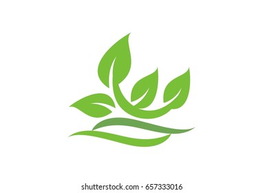 Vector Leaf Flower Logo Template