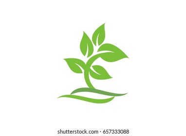Vector Leaf Flower Logo Template