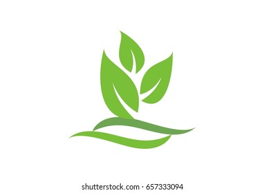 Vector Leaf Flower Logo Template Stock Vector (Royalty Free) 657333094 ...