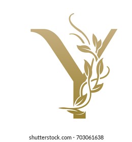 Vector Leaf Golden Letter Y Logo 