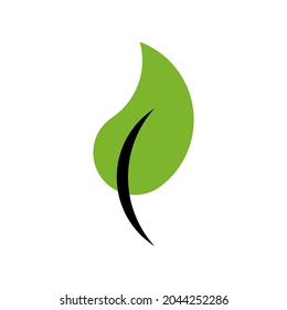Vector leaf in golden ratio style