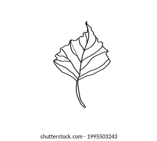 vector leaf, graphic leaf on white background cartoon illustration, botanical leaf illustration flat graphic, coloring leaf