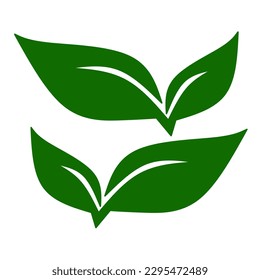 vector leaf in green color on white background