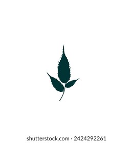 hoja vectorial en color verde con tallo verde