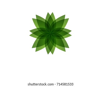 Vector leaf green nature logo and symbol template