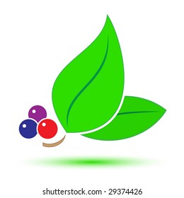Vector leaf icon
