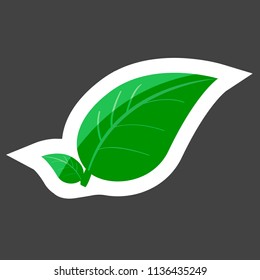 Vector leaf icon. Image of a spring leaf colored sticker. Layers grouped for easy editing illustration. For your design.