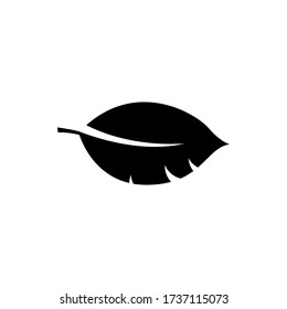 vector leaf icon. isolated leaf symbol 