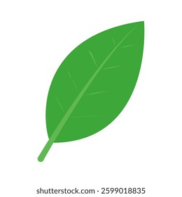 Vector leaf icon on white background