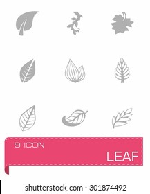 Vector leaf icon set on grey background