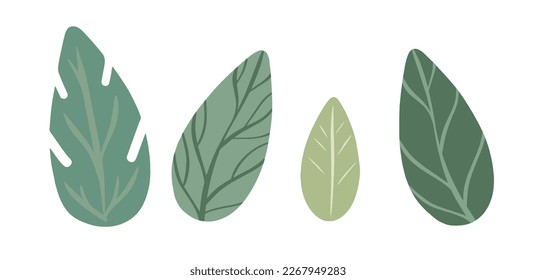 Vector leaf icons set. Garden plants with thin veins. Simple cartoon style illustration. Many botanical elements for trendy textile print design, packaging, advertising layouts. Hand drawn flat art. svg