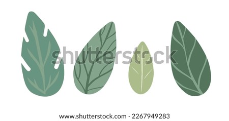Vector leaf icons set. Garden plants with thin veins. Simple cartoon style illustration. Many botanical elements for trendy textile print design, packaging, advertising layouts. Hand drawn flat art.