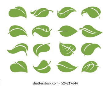 Vector leaf icons. Various shapes of green leaves isolated on white background