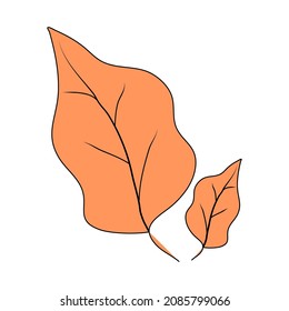 Vector leaf illustration with black outline