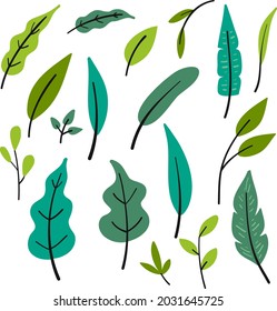 Vector leaf illustrations. Botanical clipart. Set of Green leaves. Floral Design elements. Perfect for wedding invitations, illustrations, greeting cards, blogs, posters and more