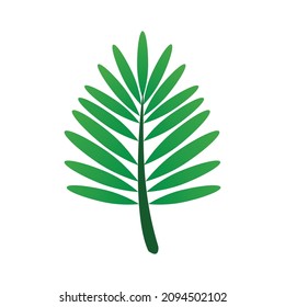 vector leaf isolated on a white background. Various shapes of green leaves. Elements for logos and web.