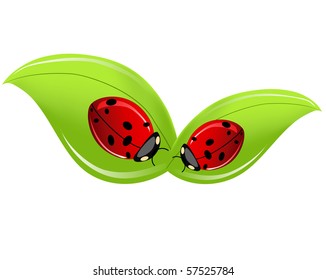 vector leaf with ladybird.
