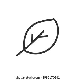 Vector leaf line icon. Symbol in trendy outline style. Vector illustration isolated on a white background. 