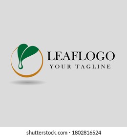 vector of leaf logo with dew drop can change color as you like