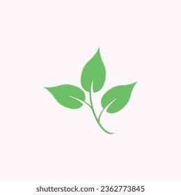 vector leaf logos, shapes, decorations and ornaments. leaf creation 8