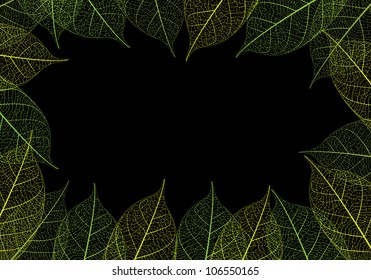 Vector leaf on black background