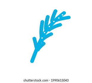 vector leaf on white background, vector abstract botanical flower in flat style and doodle leaf