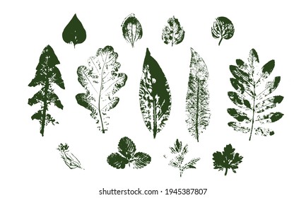 Vector Leaf print. Different black leaves stamp. Hand drawn floral elements.