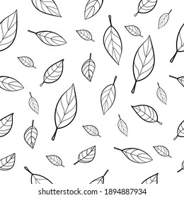 Vector leaf seamless pattern. Floral stylish background. hand drawn leaves seamless pattern black and white
