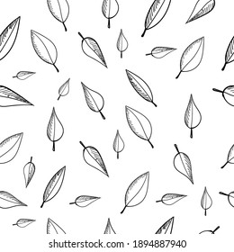 Vector leaf seamless pattern. Floral stylish background. hand drawn leaves seamless pattern black and white
